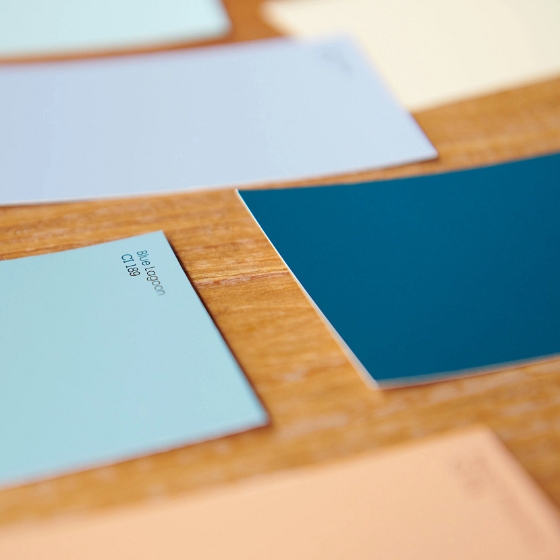Blue and neutral color chips on a wood surface.