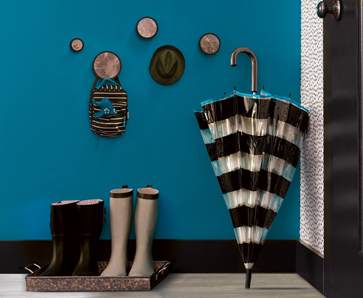 COLOR TRENDS